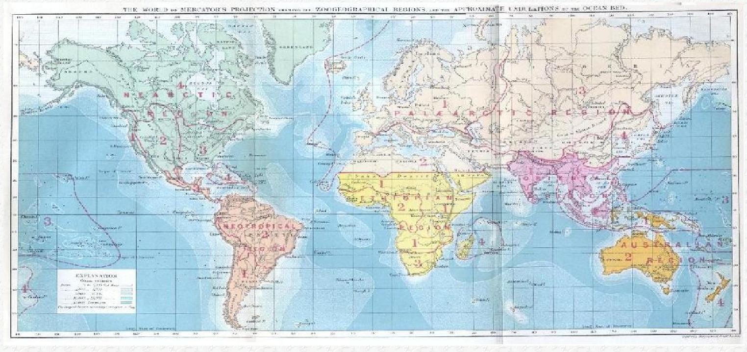 Wallace_biogeography