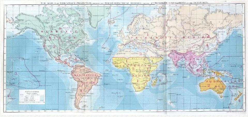 Wallace_biogeography