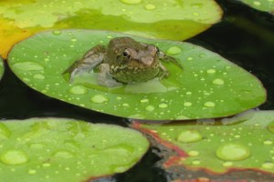 5-25-09 019_edited-1